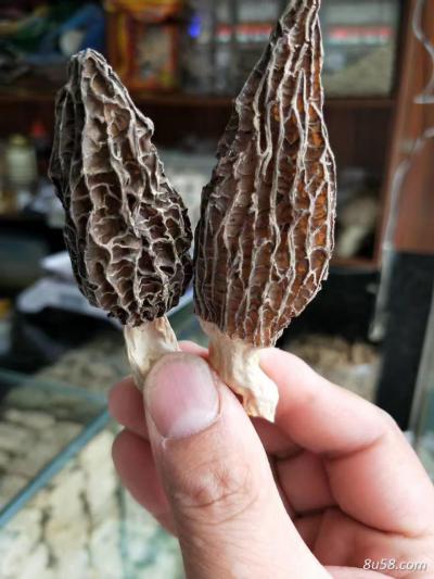龚小燕