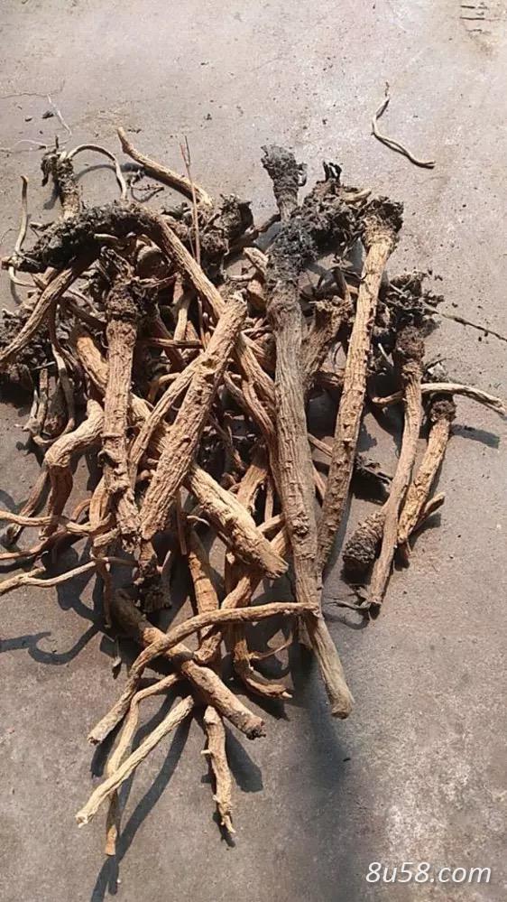 隆祥中药材种植专业合作社
