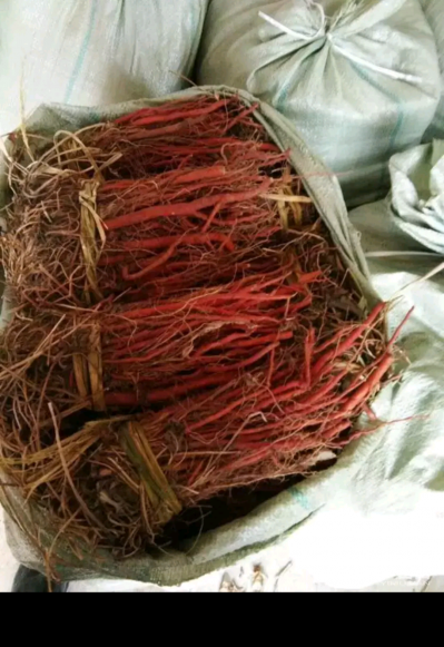 毛万强