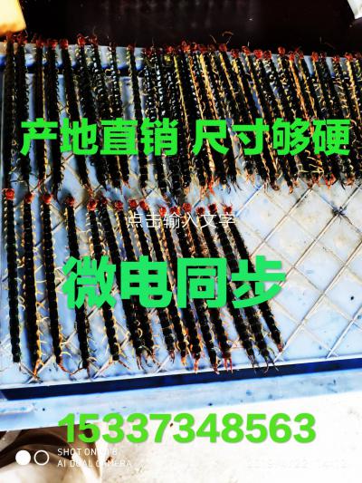 牛先差
