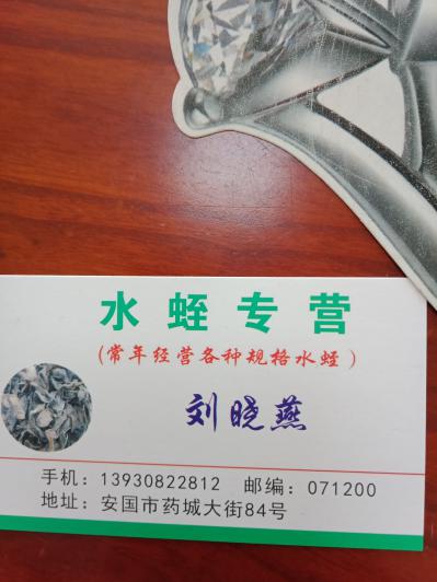 刘晓燕