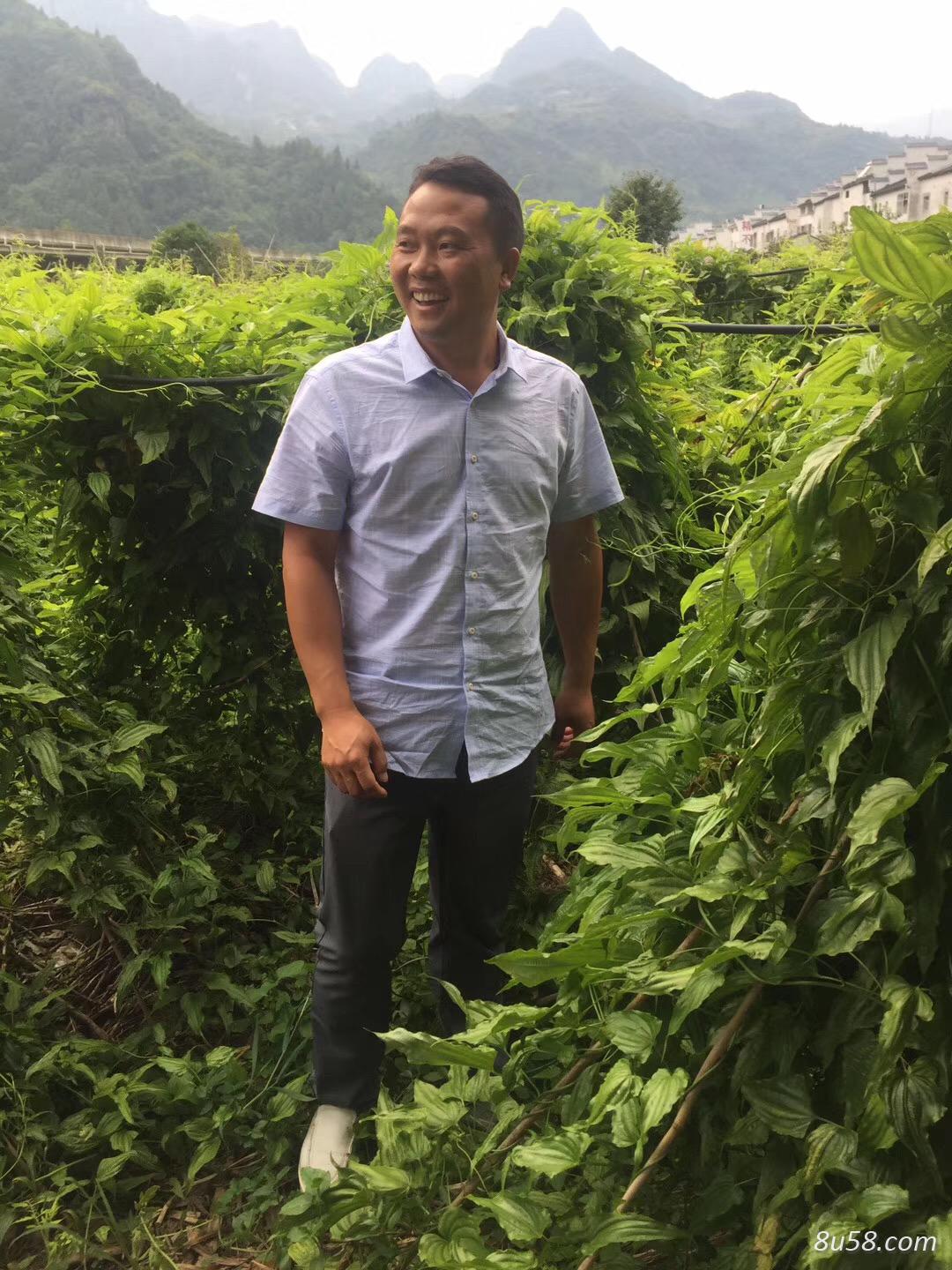 黔南州伟民农业科技有限公司