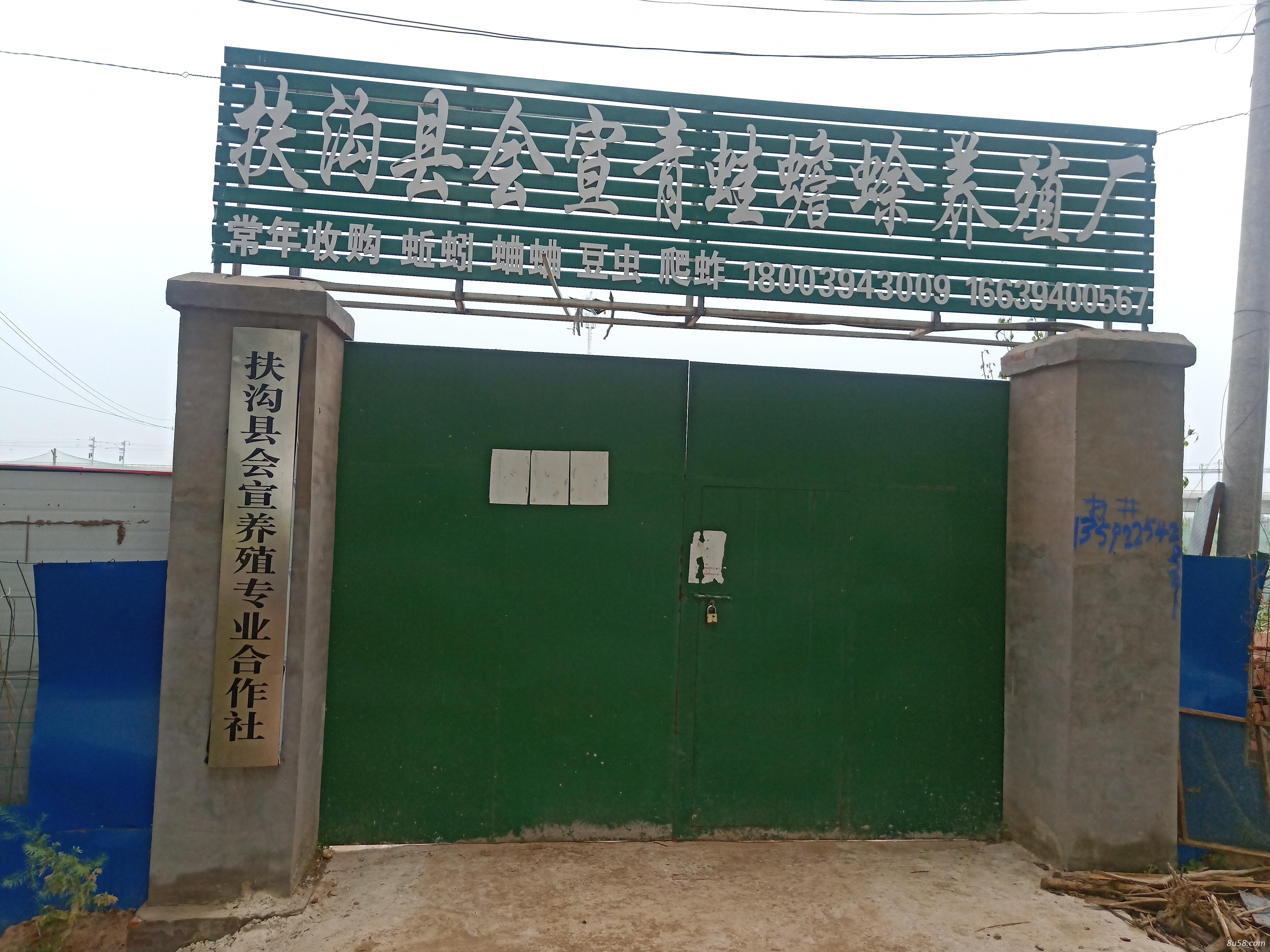 扶沟县会宣养殖专业合作社