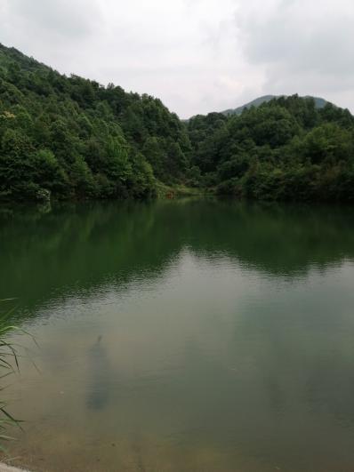 吴生