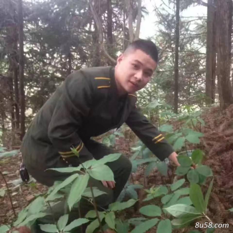 靖州县新友中药材加工厂