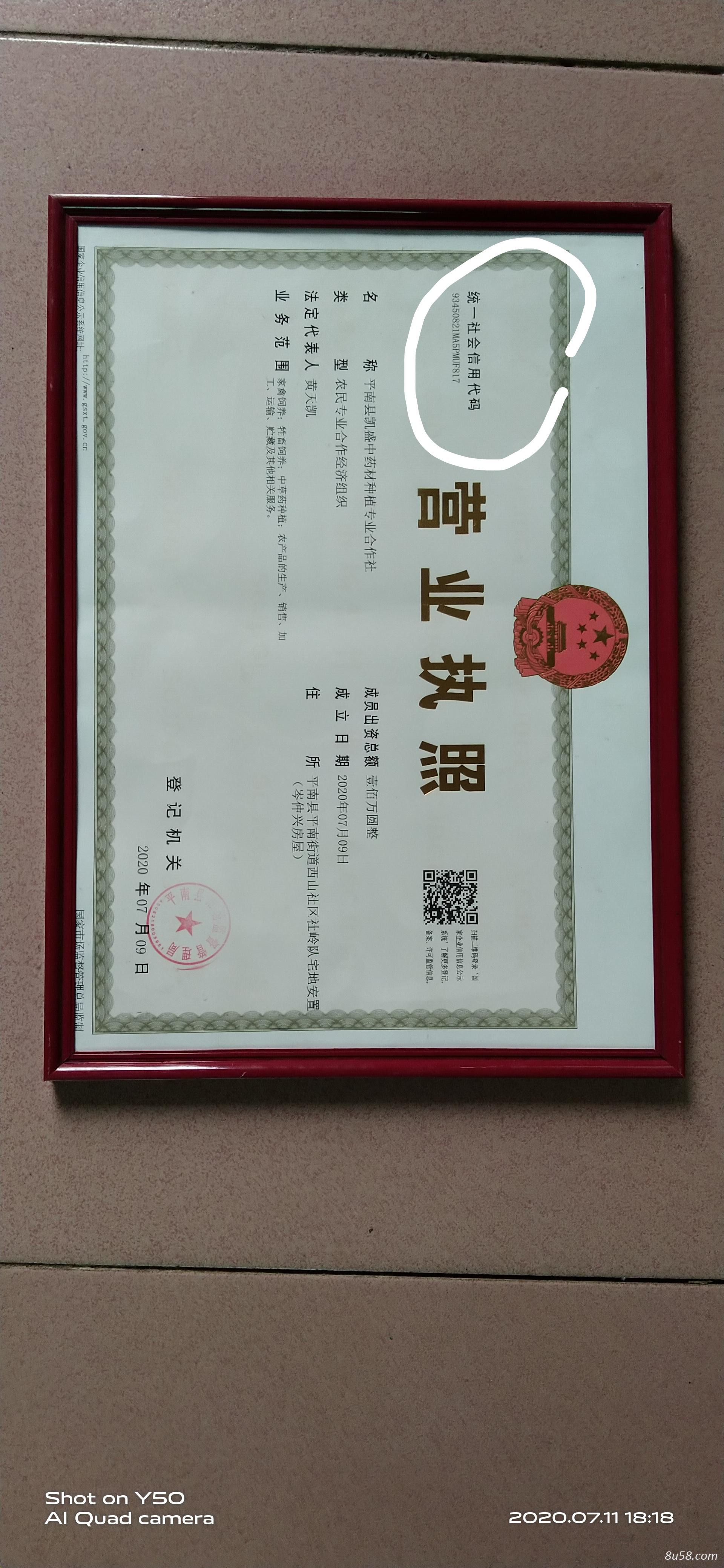 凯盛中药材种植专业合作社