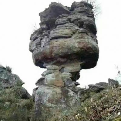 四川达州靠山吃山中药材种植合作社