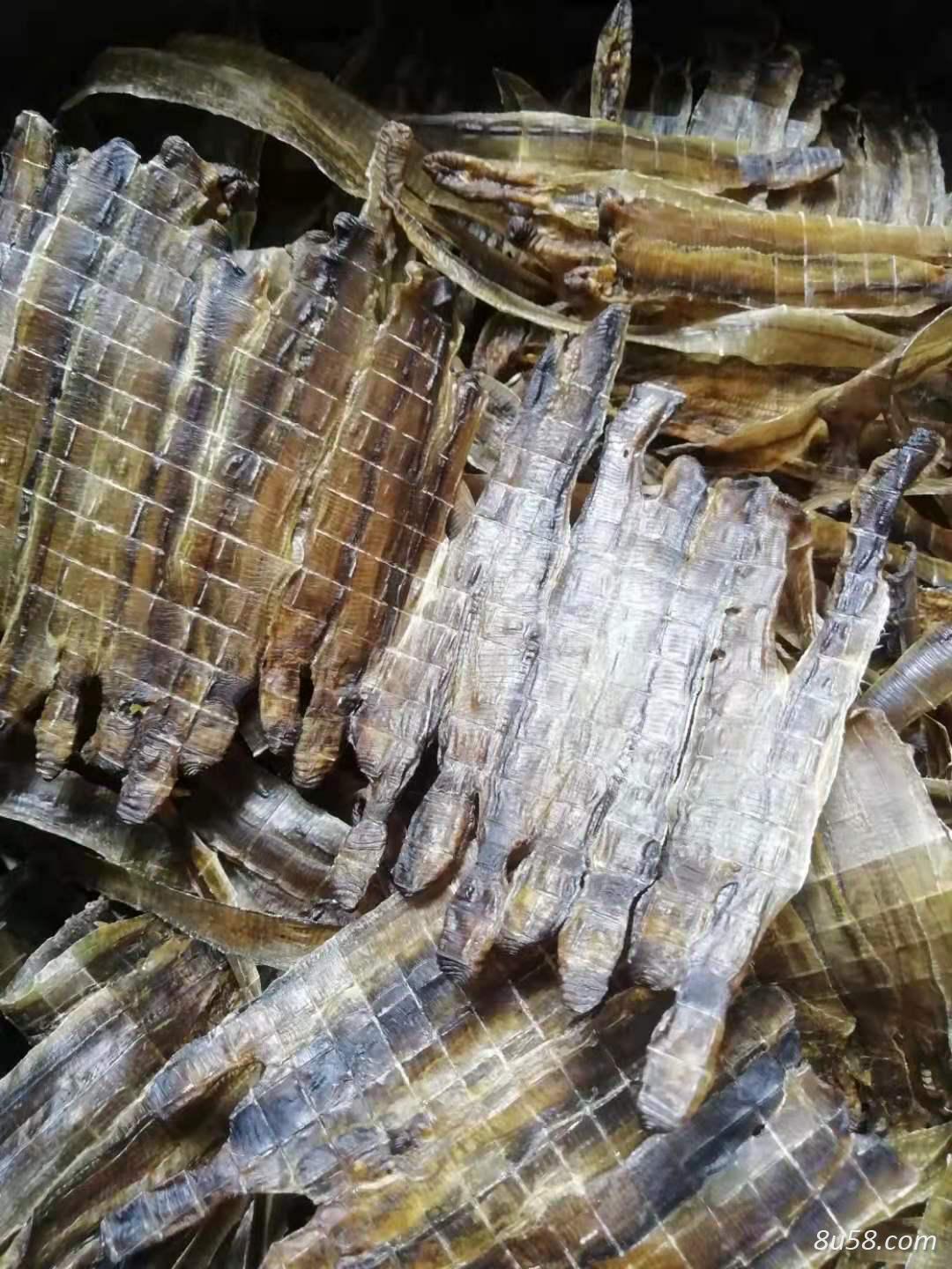 蒋先生