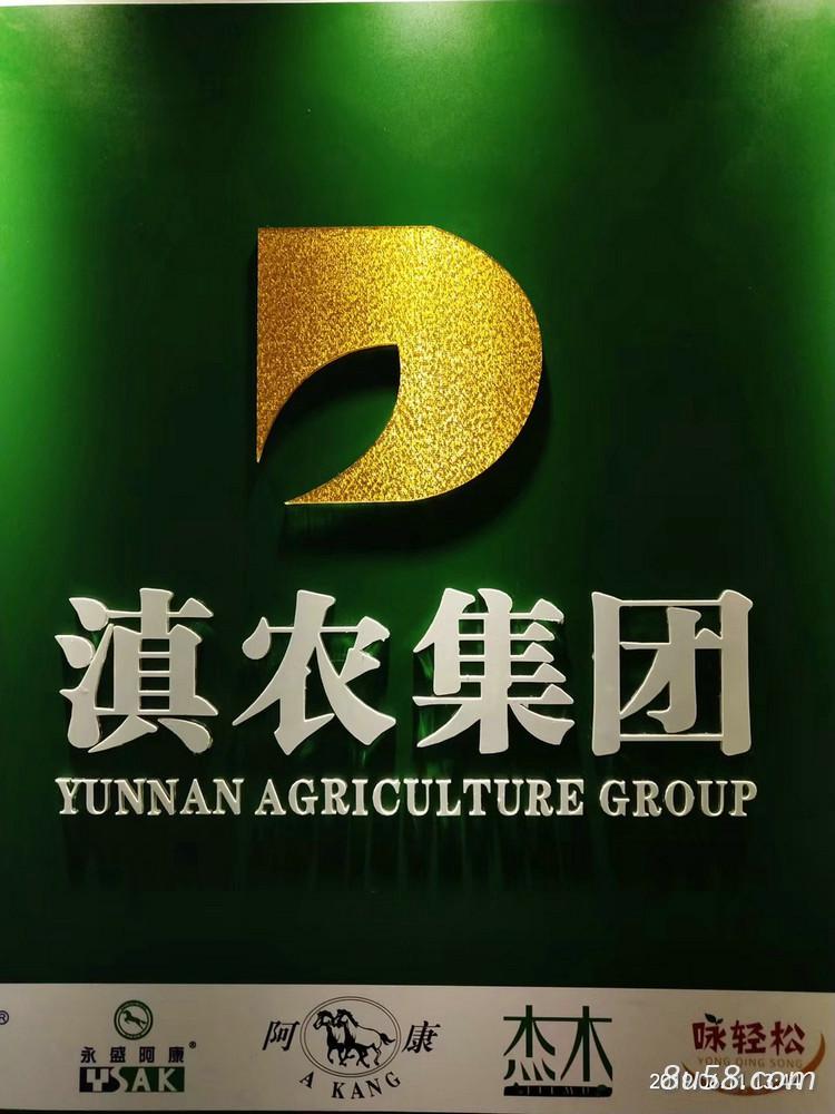 云南滇农集团有限公司