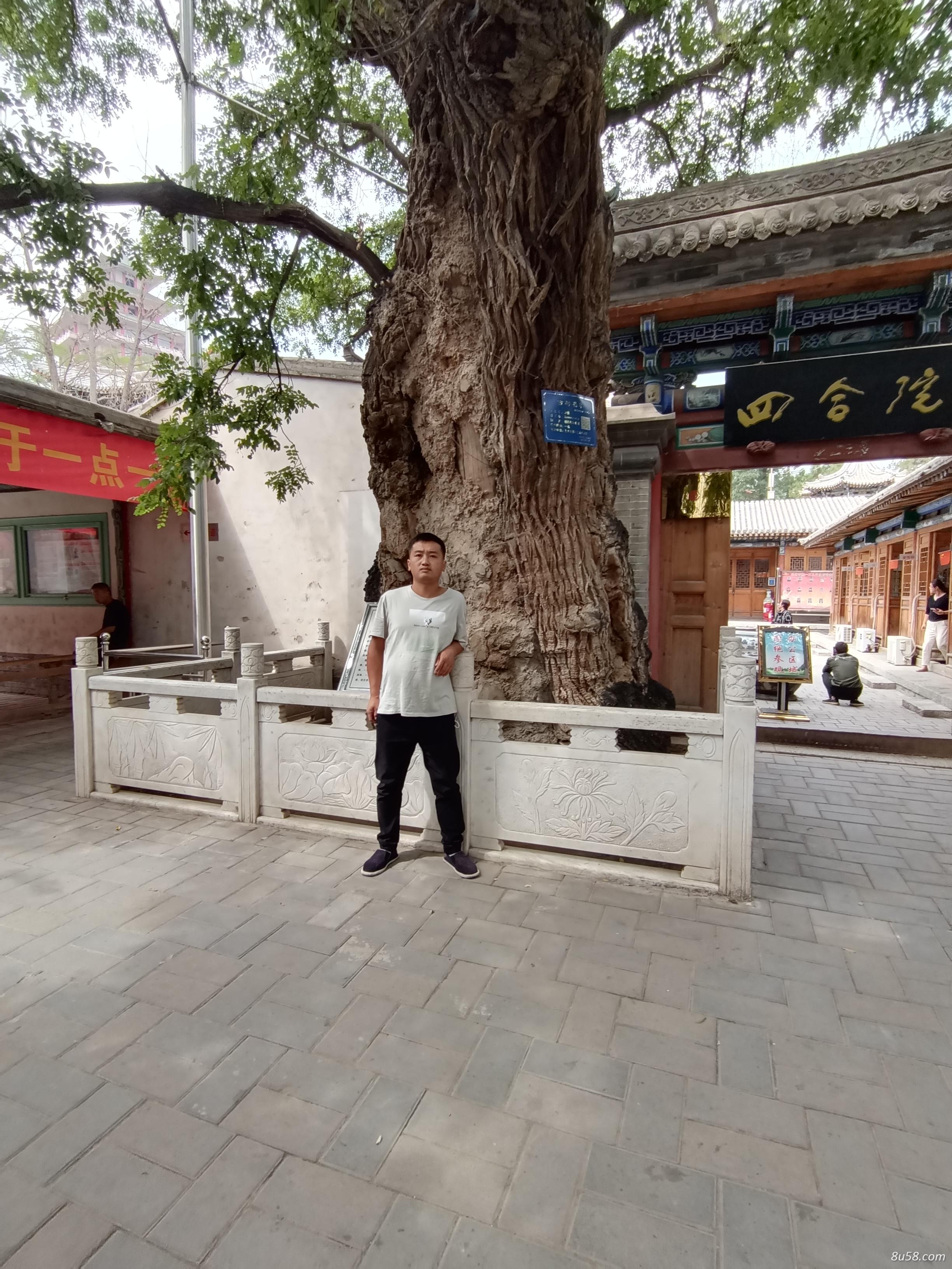翔翔中药材合作社
