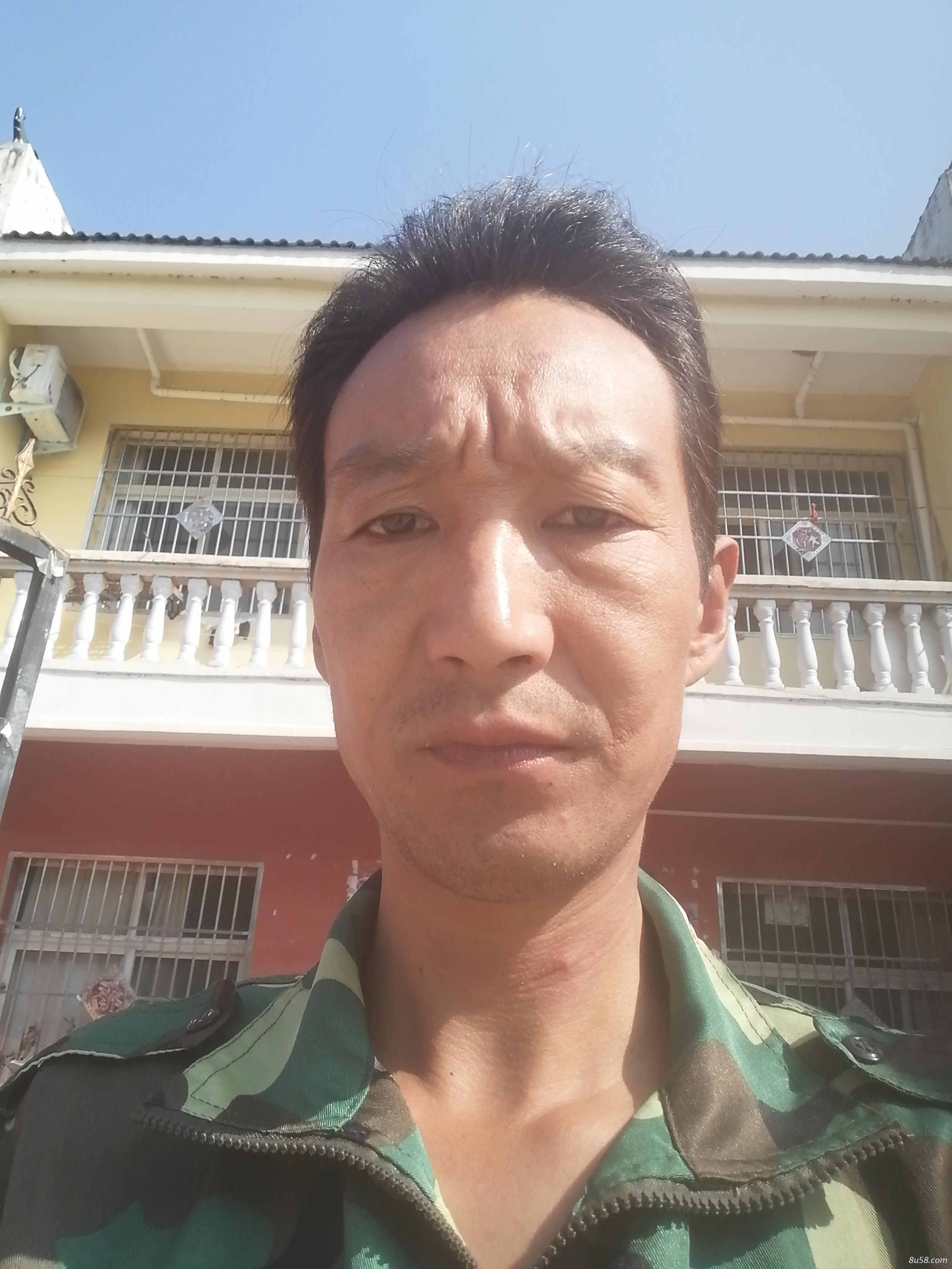 张鹏