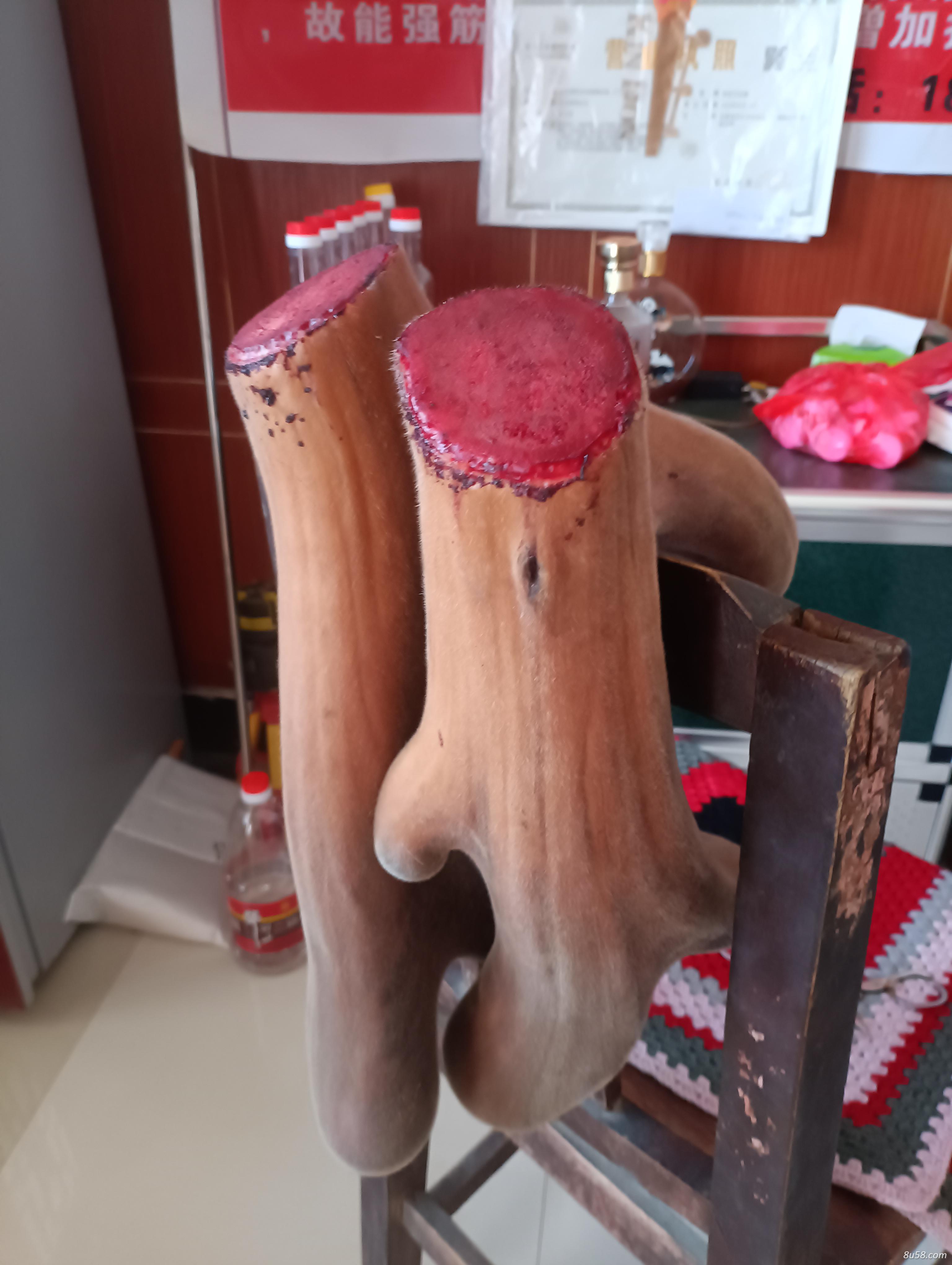 甘谷鹿田农业发展农场