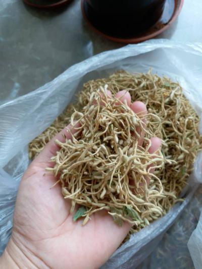 金银花农户直供