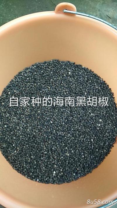 精选海南黑胡椒