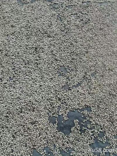 海南优质白胡椒