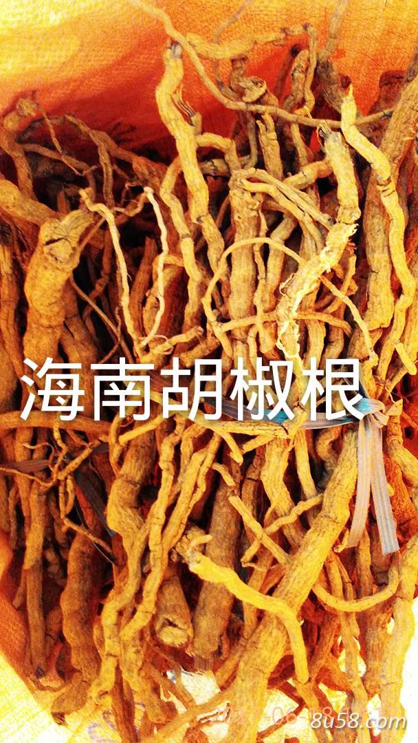 胡椒根