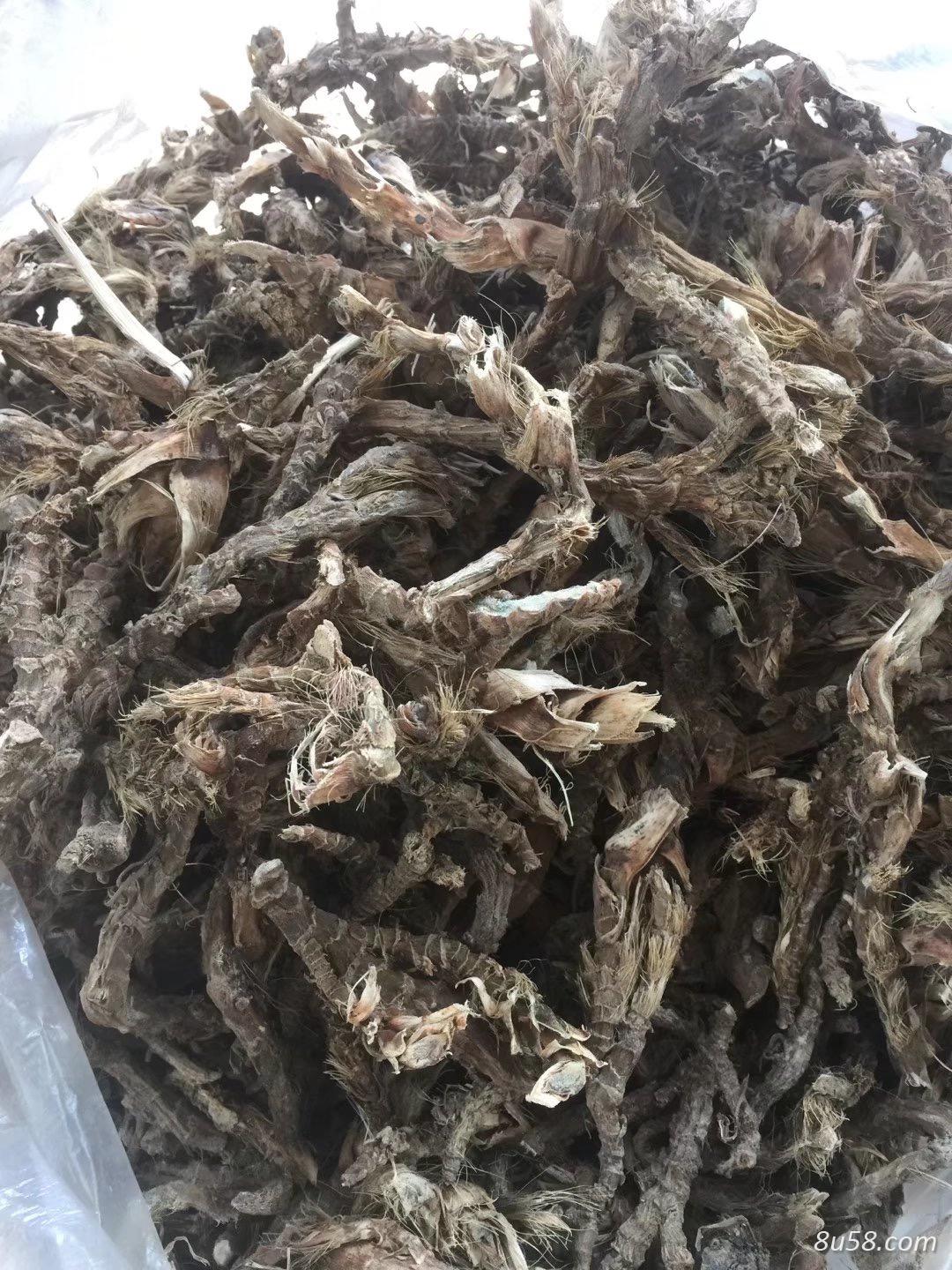 石菖蒲