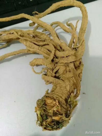 农家自产当归批量出售，无硫，干货，统货