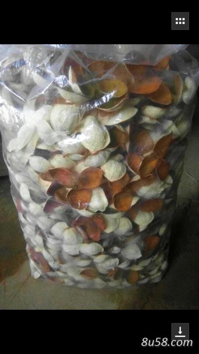 陈皮