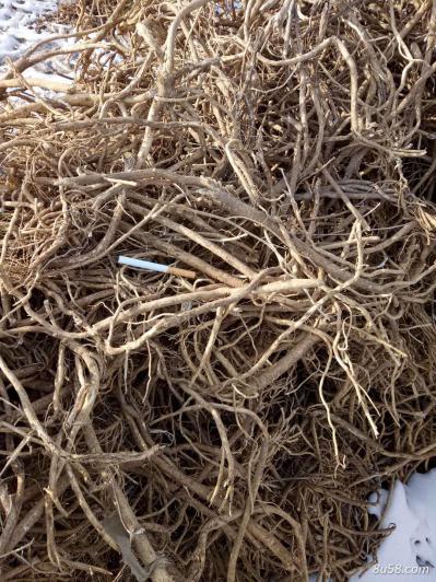 出售绵黄芪 统货150吨