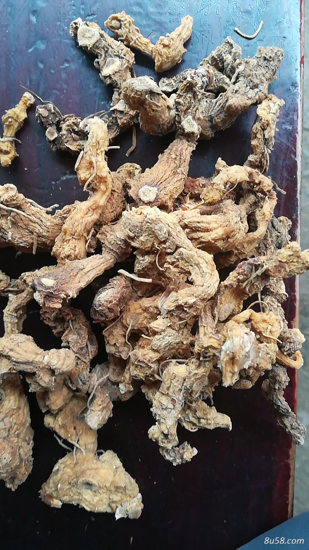 出售黄精
