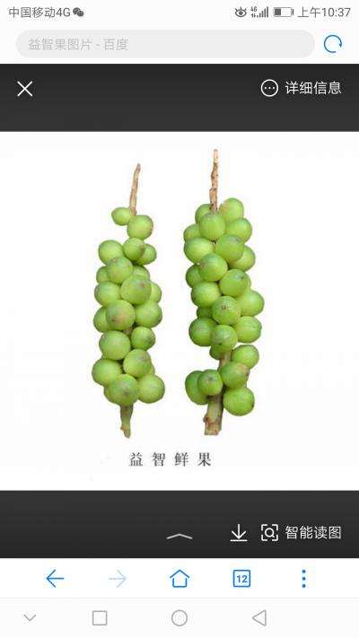 益智仁，大山种植，果实饱满