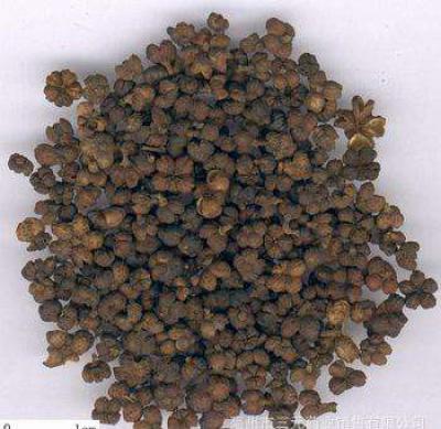 帮家乡老农网上销售：吴茱萸之乡中花干货，量大，价格优惠，欢迎采购！