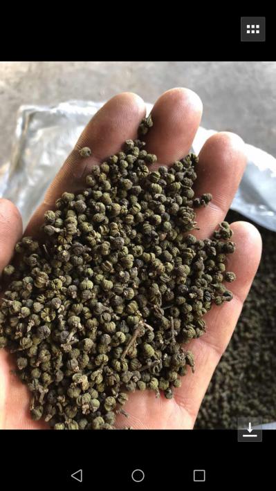 中花吴茱萸出售2000千克
