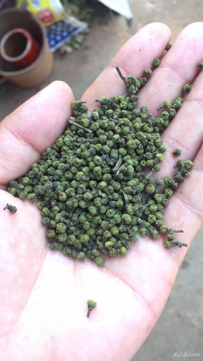 中花吴茱萸