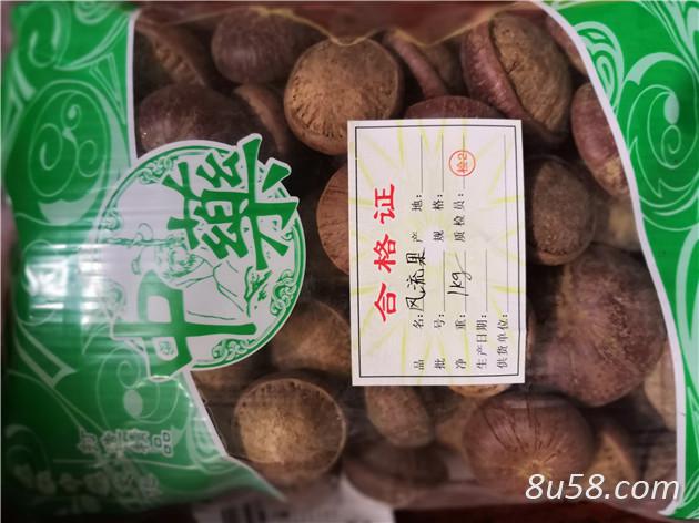 供应风流果风流果作用与功效