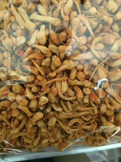 四年生白芍 有意采购的商家请联系 自家种植 农户