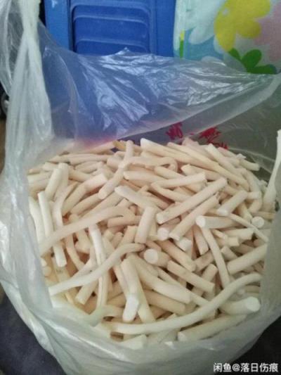 出卖100公斤左右通草