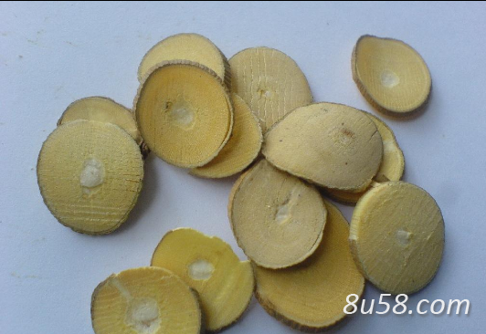 上千吨桑枝切片低价出售