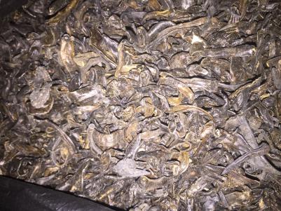 东北小黑条 水蛭 清干 咸干 常年供应