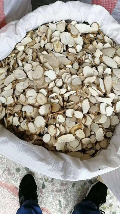 白芷片量大优惠