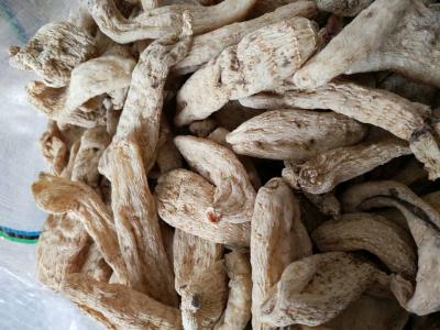 小批量供应特级农户自种无公害秋天麻