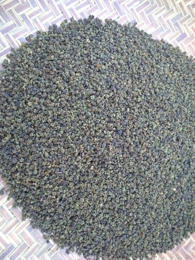 广西中花吴茱萸出售