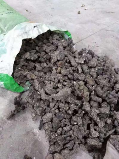 现有大量猪苓出售品相好