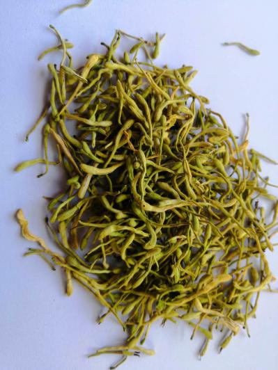 河南新乡金银花 二花
