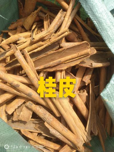 长期出售肉桂