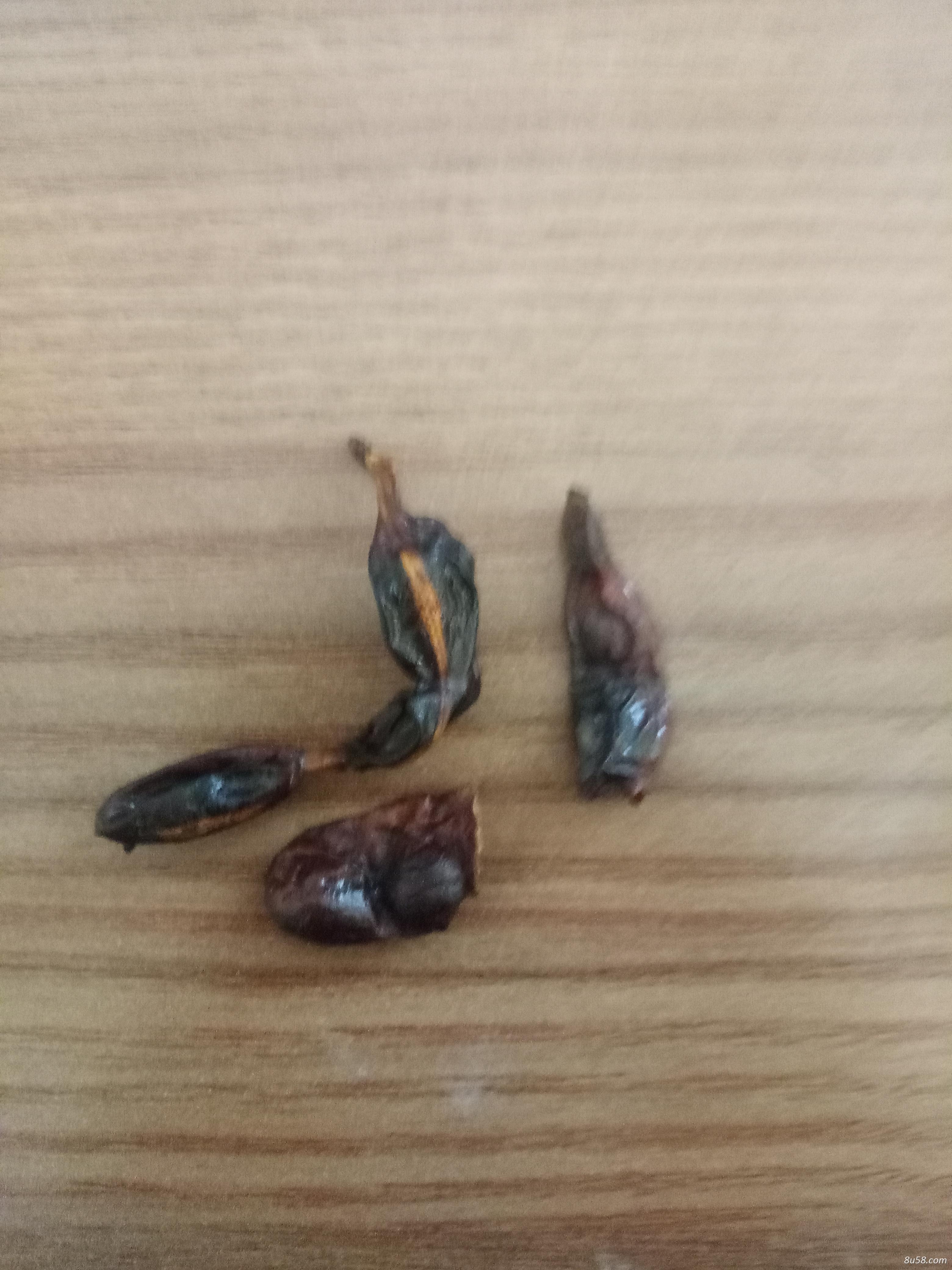 蒸九晒九槐角茶