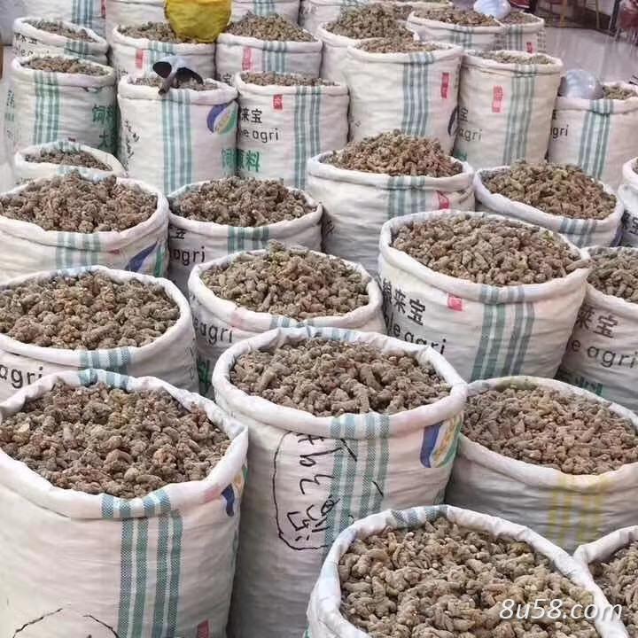 云南文山三七