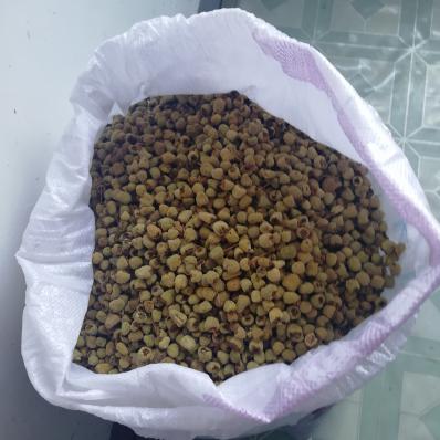 三门石滩复盆子种植基地