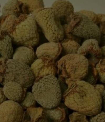 无污染覆盆子