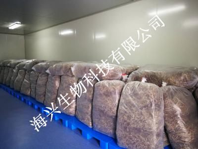 2019年铁皮石斛干条新货大量出售