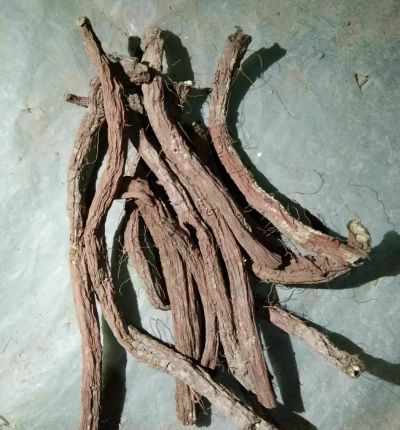丹参药材自己家种的纯货