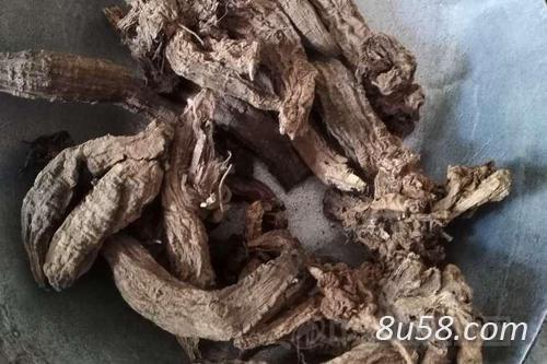 有大量玄参