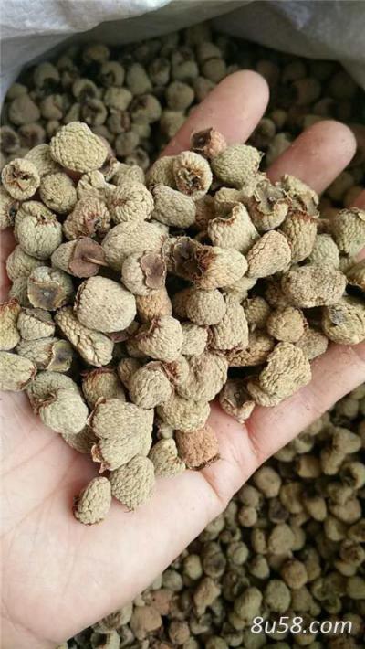 出售 海拔600米纯野生覆盆子