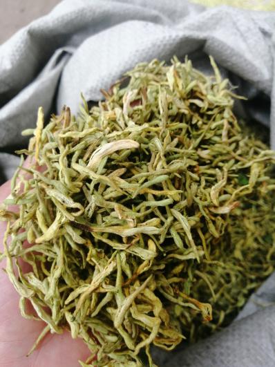 自家种植金银花，北花一号，头花