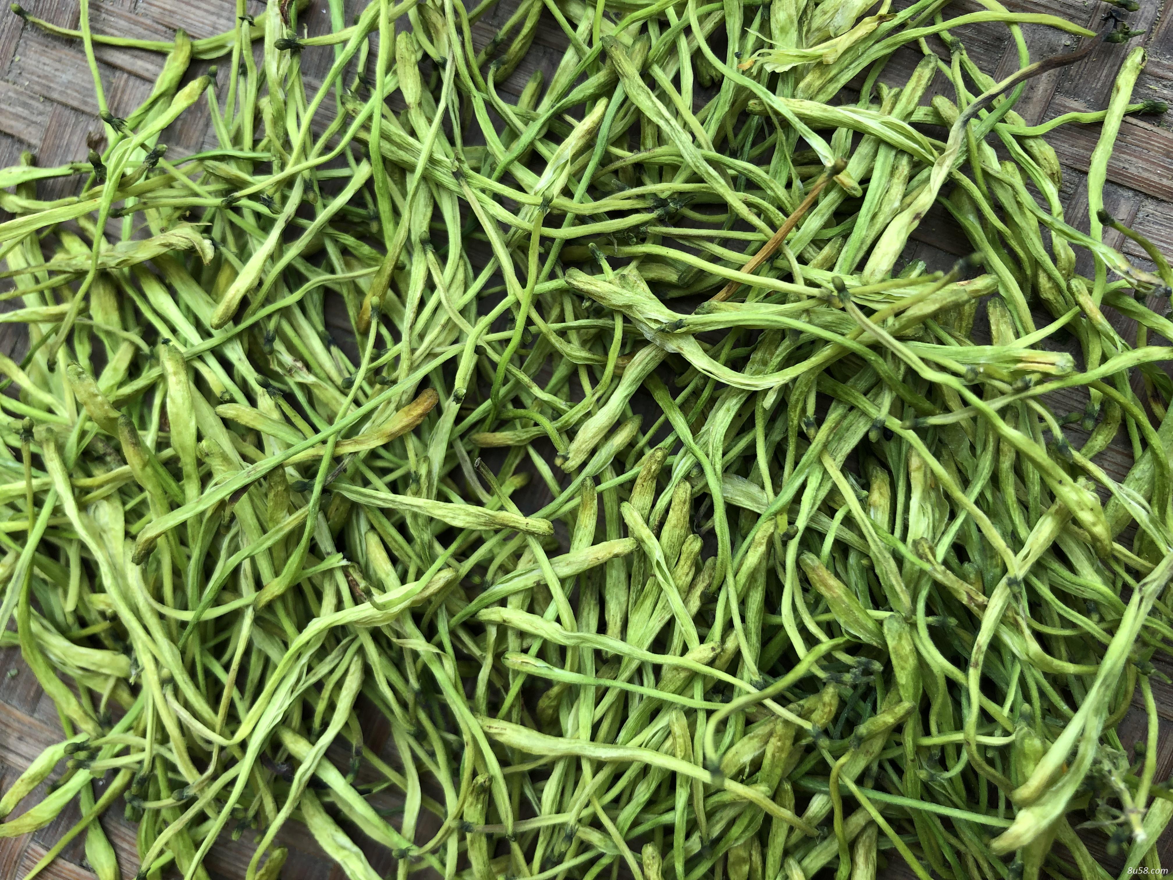 大量出售金银花 大量出售金银花